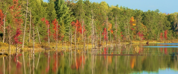 Roberts lake Cheboygan County Michigan