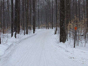 Snowmobile Trail 71 - 717,  Harbor Springs Michigan Snowmobiling