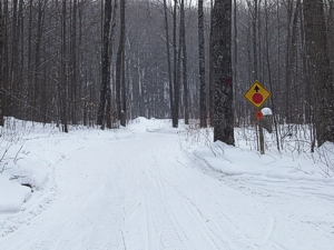 Snowmobile Trail 71 - 717,  Harbor Springs Michigan Snowmobiling