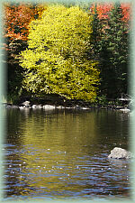 Yondota Falls
DMG �