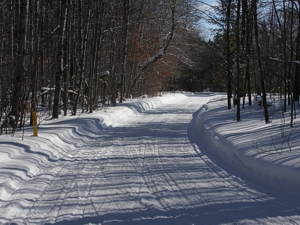 Snowmobile Trail 4-494 east,  Atlanta Michigan Snowmobiling