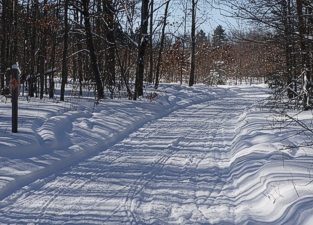 Snowmobile Trail 4-494 east,  Atlanta Michigan Snowmobiling