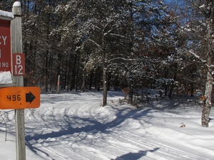 Snowmobile Trail 4-496 east,  Atlanta Michigan Snowmobiling