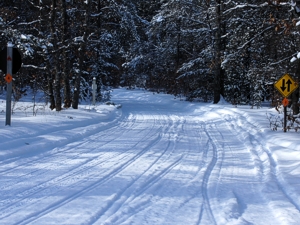 Snowmobile Trail 4-496 east,  Atlanta Michigan Snowmobiling