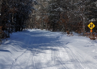 Snowmobile Trail 4-496 east,  Atlanta Michigan Snowmobiling