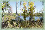 Pigeon River Forest
Cheboygan County, Michigan