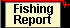 Report