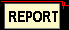 Report