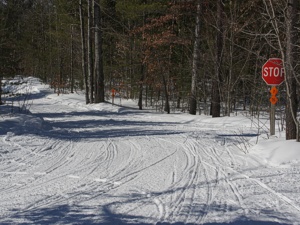 Snowmobile Trail 76 - 7 north intersection Indian River Snowmobiling ...