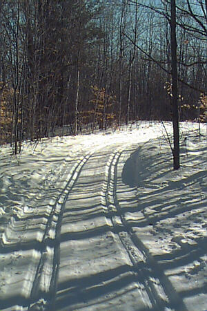 Wildwood Hills Pathway Map Cheboygan County Michigan Interactive™