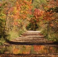 Isabella County Michigan