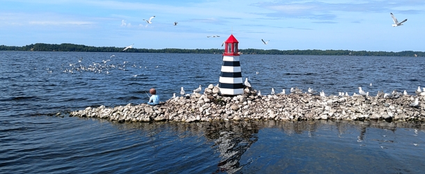 Brevort Lake Reef